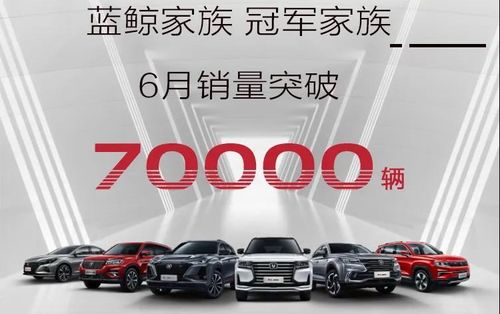 長(zhǎng)安汽車(chē)6月銷(xiāo)量破19萬(wàn) 自主發(fā)力,合資回暖