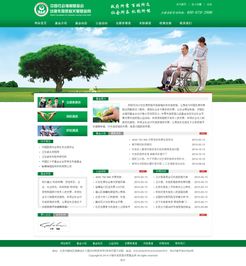 專(zhuān)業(yè)企業(yè)展示型網(wǎng)站建設(shè)，打造北京企業(yè)的數(shù)字名片